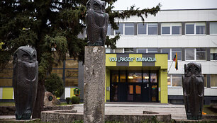 VDU &bdquo;Rasos&ldquo; gimnazija