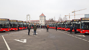 Naujų "Temsa" autobusų pristatymas