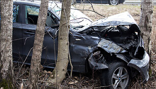 Vilkiko kliudytas BMW automobilis nulėkė nuo kelio