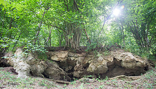 Žiegždrių geologinis takas