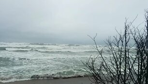 filmuotuose-skaitytojo-kadruose-vejo-selsmas-pajuryje