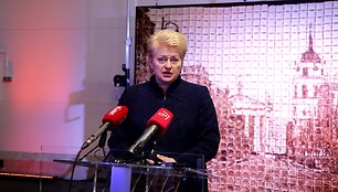 dgrybauskaite-apie-emasiuli-apsispresti-turi-rinkejai