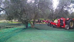 582b36359433cvideo_582b361d5dea0
