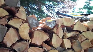 elektrenu-rajone-tevas-ant-betono-klupde-sunu-ir-ant-peciu-krove-malku-dezes