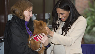 Meghan Markle 