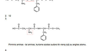 2022 m. valstybinis chemijos egzaminas