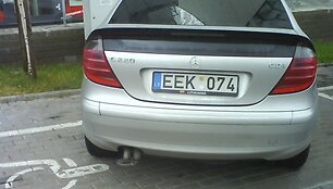 Įkrauk.lt nuotrauka