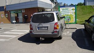 Įkrauk.lt nuotrauka