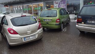 Nuotraukos pavadinimas
