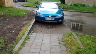 Nuotraukos pavadinimas