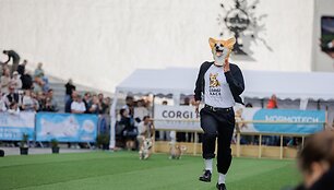 &bdquo;Corgi Race Vilnius 2025&ldquo;