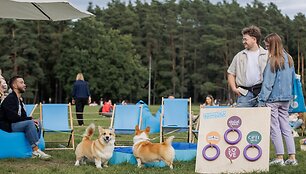 &bdquo;Corgi Race Vilnius 2025&ldquo;