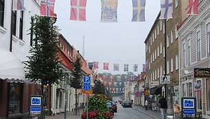 &Scaron;vedija