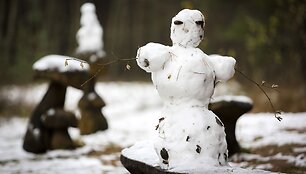 Ilgesingas Varnikų &scaron;auksmas: pasigrožėti &scaron;lapiu sniegu apdribusia gamta