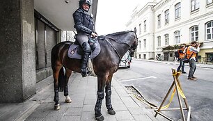 Spalvinga eisena pajudėjo nuo V.Kudirkos aik&scaron;tės link Luki&scaron;kių 