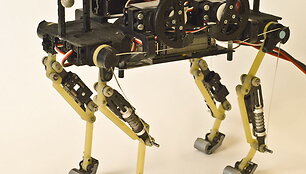 Naminės katės judesius identi&scaron;kai atkartojantis robotas