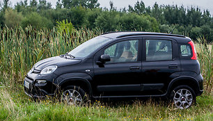 „Fiat Panda 4x4“