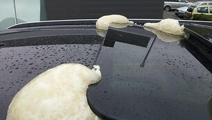 Vandalų apgadintas automobilis 