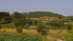 Graikija ir jos salos. Kreta. L.&Scaron;epetienės nuotr.