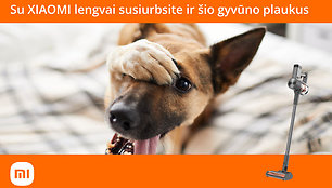 Šuo