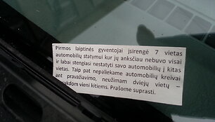 Pra&scaron;ymas suprasti, o kas supras naujokus?