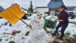 Sniegas nuklojo Reginos Valiukienės ūkį