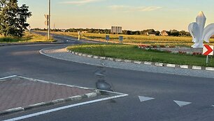 Avarijos vietoje