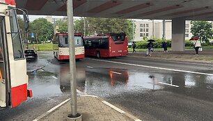 Avarijos vietoje