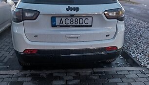 Vardiniai numeriai