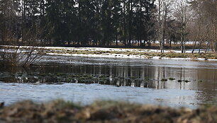 Patvinusios upės Panevėžio mieste ir rajone