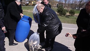 Panevėžyje įžuvinta senvagė