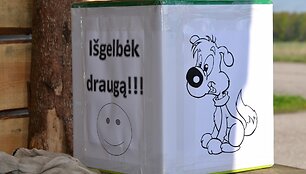 Treniruotės akimirka