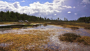 Varžybų akimirka