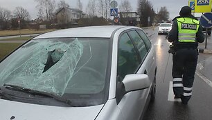panevezyje-volvo-vairuotojas-partrenke-pesciaji