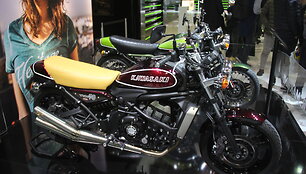EICMA paroda