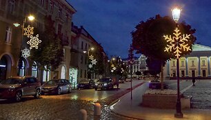 2. Rotušės a.