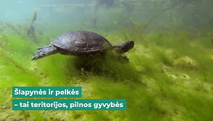 pelkes-klimato-ir-daugybes-retu-rusiu-saugotojos