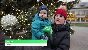 valstybes-biudzetas-2026-m-agnes-klausimas-finansu-ministrui-apie-ismokas-seimoms-ir-vaikams
