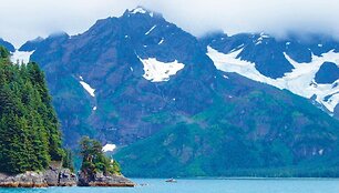 Vaade Alaska metsadele ja m&auml;gedele Sewardi linna l&auml;hedalt merereisil Vaiksel ookeanil..