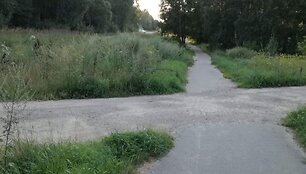 Nenu&scaron;ienauti &Scaron;iauliai