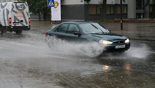 Liūtis &Scaron;iauliuose