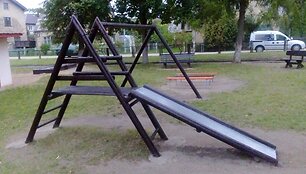 &Scaron;e&scaron;iamečiui jo mamai po rankos lūžio reikėjo tik dėmesio, bet buvo grūdami ky&scaron;iai