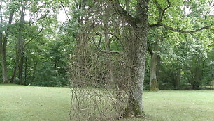 Raudondvaryje baigėsi žemės meno festivalis &bdquo;Land Art&ldquo;