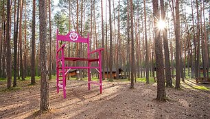 Jurga ir Mindaugas Vidugiriai savo veiklose