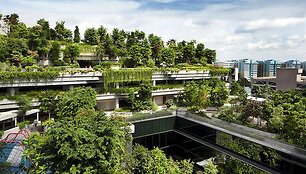 &bdquo;Kampung Admiralty&ldquo; Singapūre (arch. &bdquo;WOHA Architects&ldquo;).