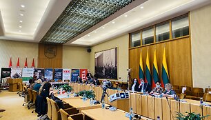 Projekto &bdquo;I&scaron;manusis miestas VII&ldquo; atidarymo akimirka