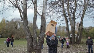 Inkilai greta daugiabučių 