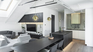 Apartamentai su mansarda Paupyje