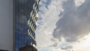 Solar Carve (40 Tenth Ave)