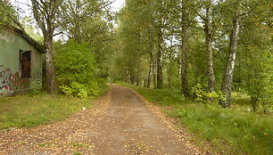 Rukainiai